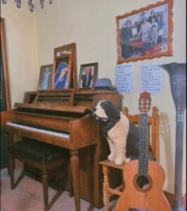 Estudio del maestro Timoteo Cruz